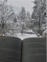 A Durango High school student reading a book near there window. 