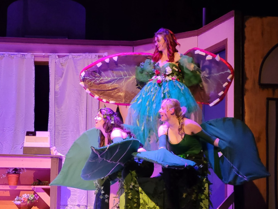 Karissa Rocha- Atamas, Maggie Wiliams, and Gwyn Prothero play the plant, Aubrey 2, on Wednesday night adjacent to a desperate Seymour. The plant promises him anything he might desire if he feeds her.