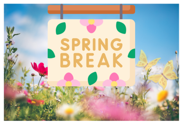 Spring Break graphic made by Ruby Jane Tanaka. Students at DHS go to a variety of places during Spring Break and partake in a variety of activities.   