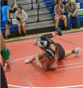 The Growth of Girls Wrestling