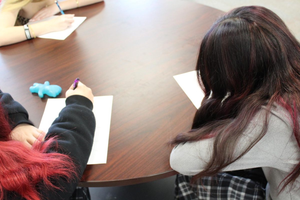 Evie Fevvell, Emberly Strickhausen, and Cevinia Scott all working quite studiously in preparation for their finals!